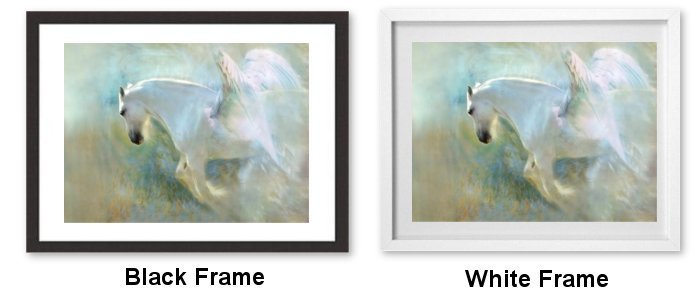 Select Your Frame Select Your Frame